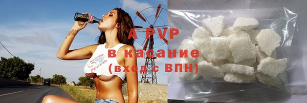 трава Белокуриха