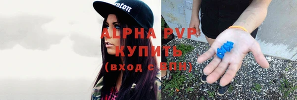 трава Белокуриха