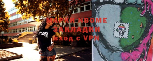 трава Белокуриха