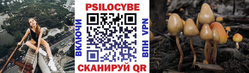 Псилоцибиновые грибы Psilocybine cubensis гидра tor Верхотурье